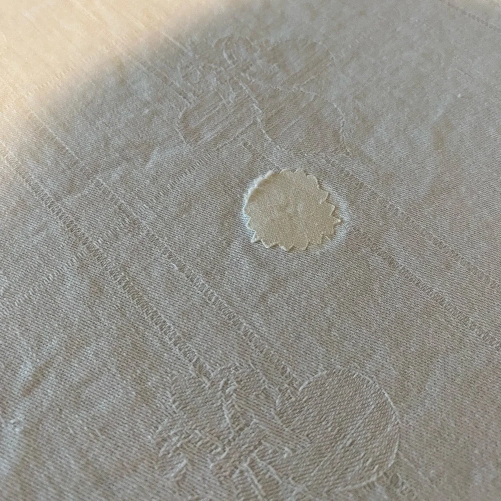 Vintage Table Cloth 5”/4.8 White & Blue Beautiful! 🍃
